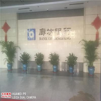 天津?qū)I(yè)花卉綠植租擺與銷售服務(wù)