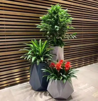杭州綠植租賃-浙大團隊品質(zhì)保障，花卉綠植租借一體化服務(wù)